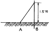 2950635498_KaOG6rug_3acb99d57281a380bb2c7d40189a1229c766d681.gif