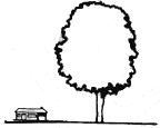 1925888912_0tfrimRh_e489796d2fb31fb3630b08942de67fc8405dae8f.gif