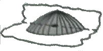 1889083477_E8tmW3x2_cc493fe0b287143b4653eed1d8790455a0d4d03d.gif