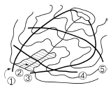 1889083477_MClF7OtD_03b31bd008052df66f1a95a7c2ea5d8036e253b4.gif