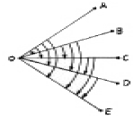 1925888912_4Jh7RKFi_9755c79dc4ded782f97db08a5a976097e08f143b.gif