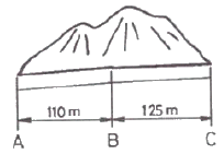 1925888912_5CLKxkBM_ff0fc7efe2a5cf0075ebfd4399f7319e920eb445.gif
