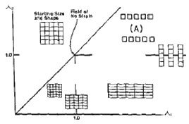 1925888912_QvHYPld7_897c1a21eb3923e479262115bf0713eeb38583d3.gif