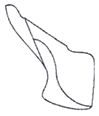 1925888912_bsx925OJ_890456574e922342e89d9709ca81299044245357.gif