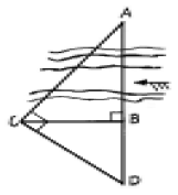 1925888912_lxkBOsmH_ecc296f0b677faadd36b70ad5de8263fe3af9dd2.gif