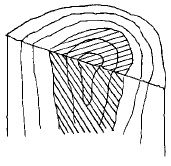 1846507993_xwjLeYfD_580eeb3957a639d1a4e8cb40fd336f4769c0a029.gif