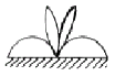 1846507993_9AwBqgJ2_4e7fe77c8683fda5c176e540c8abfe57aecff26f.gif